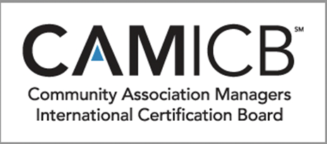 Camicb Logo